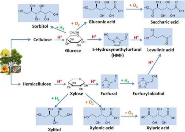 Figure 5. Cellulose and hemicellulose hydrolysis and the subsequent conversion of the monosaccharides into platform molecules (blue background).