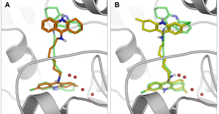 Figure 2. Overall binding modes predicted for (A) the heterodimer (R)-3d and (B) the homodimer (R,R)-3b, superposed with the experimental conformation  of bis(7)-tacrine (colored green) observed in the 2CKM complex