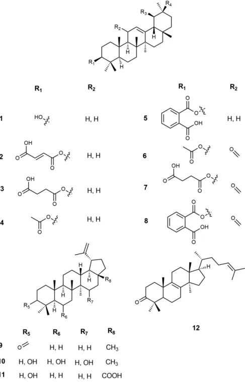 Figure 1. Chemical structures of the triterpenes tested for trypanocidal activity: (1) α/β-amyrin, (2) 3-O-fumaryl-α/β-amyrin, (3) 3-O-succinyl-α/β-amyrin,  (4) 3-O-acetyl-α/β-amyrin, (5) α/β-amyrin, (6) 3-O-acetyl-11-oxo-α/β-amyrin, (7) 3-O-succinyl-11-ox
