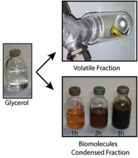 Figure 2. Pictures of the volatile and liquid phase products.