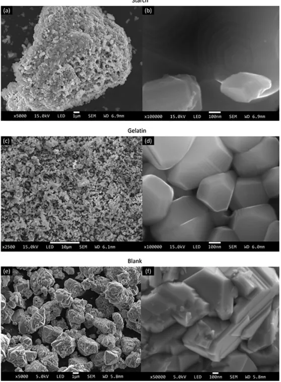 Figure 10. SEM of the synthesized HT-LiCoO 2  samples with the starch and gelatin precursors and the blank test, expanded at 5000× (a and e),  100000× (b and d), 50000× (f) and 2500× (c).