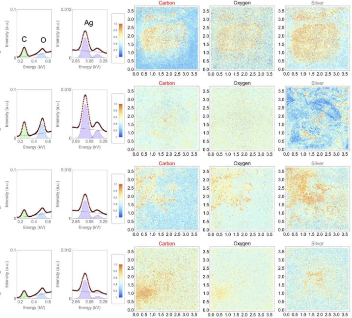 Figure 1. First and second columns: cumulative large-field X-ray energy-dispersive spectroscopy (LF-EDS) for the AgNPs coatings formed on raw SiO 2 / Si substrates