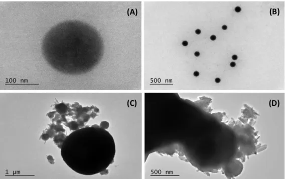 Figure 3. HRTEM images of the transformation process of a-SeNPs nanospheres to t-SeNPs nanorods