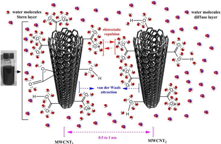 Figure 8. Illustrative scheme of colloidal dispersions of functionalized MWCNTs in water.