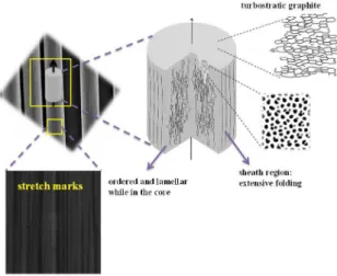 Figure 1. Structures for a single flexible carbon fiber (FCF) from its array. 