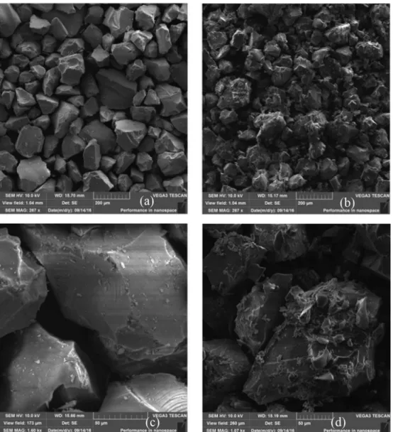 Figure 1 shows the SEM analysis for SiO 2  before lipase  immobilization (Figure 1a) and after (Figure 1b) in a  270 times magnification and Figures 1c and 1d show the  magnification in 1200 times.