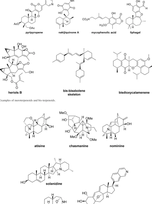 Figure 2. Diterpene and triterpene alkaloids.