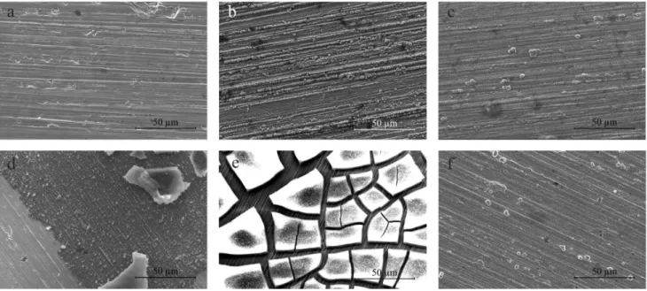 Figure 8. SEM micrographs of the Ni deposits obtained from ChCl:2U at 25 (a), 45 (b) and 70 °C (c) and from ChCl:2EG at 25 (d), 45 (e) and 70 °C (f).