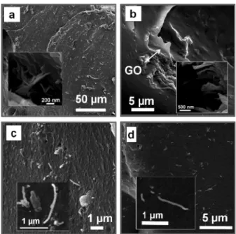 Figure 3 shows the FTIR-ATR spectra of SA and  the aCNT- and GO-based nanocomposites, respectively