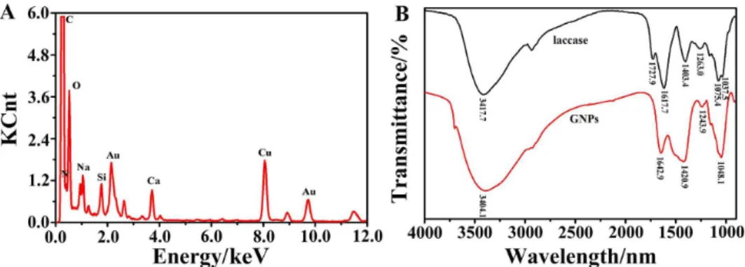 Figure 4. (A) Time-dependent absorption spectra for the catalytic reduction of 4-nitrophenol by NaBH 4  in the presence of GNPs synthesized by laccase; 