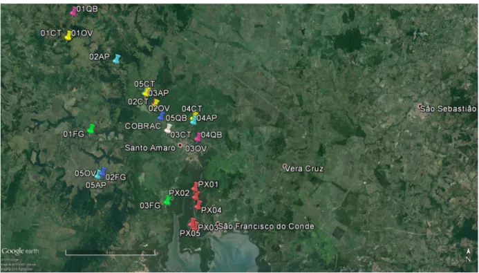 Figure 2. Satellite image locating sampling points for food itens and COBRAC. Sampling points for chicken (01FG-05FG), fish (PX01-PX05), eggs  (OV01-OV05), cassava (AP01-AP05), coriander (CT01-CT05) and okra (QB01-QB05).