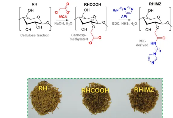 Figure 1). Unfortunately, the reported procedures 22,25-27 for determining the degree of carboxymethylation were  inapplicable for our samples since they usually require  dissolution of the material and high cellulose composition  (> 90%) or even advanc
