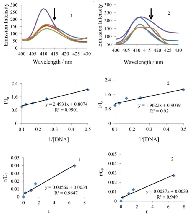 Figure 1. Emission spectra (400-430 nm) and Scatchard plots of complexes 1 (left) and 2 (right), (25 × 10 -6  mol L -1 ) in the presence of increasing  concentrations of CT DNA (0-10 × 10 -6  mol L -1 ), obtained in Tris-HCl buffer (pH 7.2) with λ ex  = 40