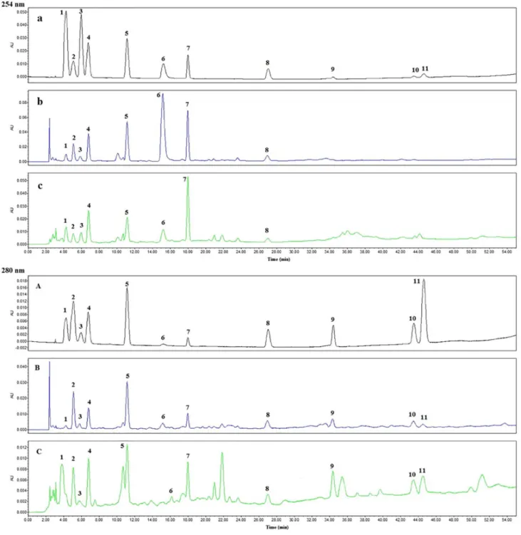 Figure 3. HPLC chromatograms of mixed standards (a, A); Radix Isatidis sample (b, B) and Radix Isatidis granule sample (c, C)