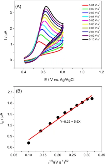 Figure 5. (A) CV obtained for GCE modified with CT-DNA/NiTsPc/rGO   in pH 7.0 phosphate buffer in scan rate (1) 0.01 V s -1  to (10) 0.10 V s -1 ;  (B) plot of peak current (I p ) versus the square root of scan rate, ν is  varying from 0.01 to 0.10 V s -1 