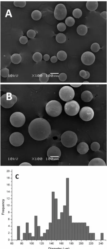 Figure 3. Morphological characterization of supports. Scanning electron  micrograph (10 kV; 100×): (A) Immobead 150; (B) ImmTLL; (C) size  distribution of Immobead 150.