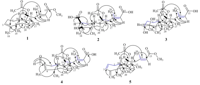 Figure 2. Important COSY (——) and HMBC ( ) correlations for compounds 1-5.