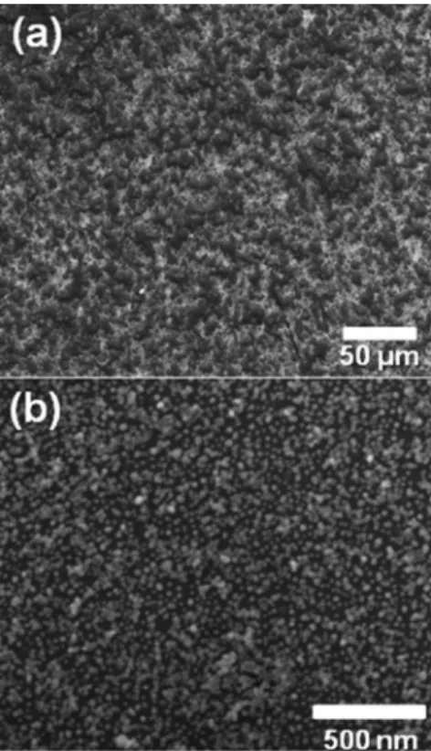 Figure 2. SEM images of the AuNP film in low magnification (a) and  high magnification (b).