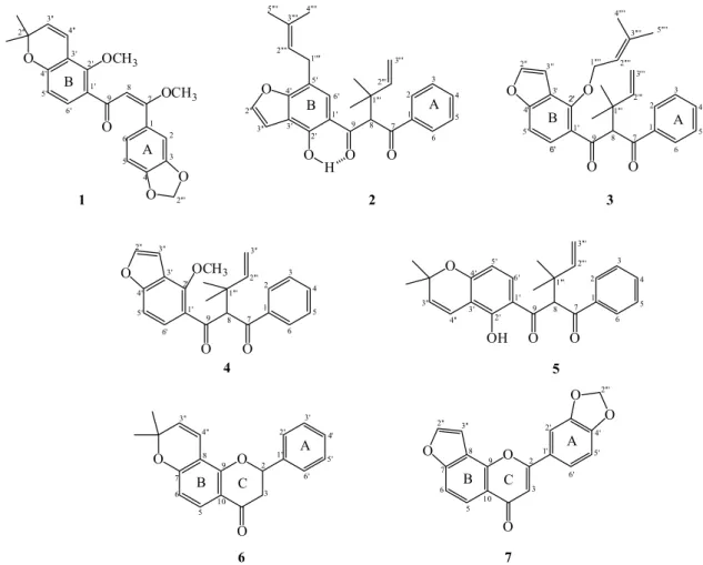 Figure 1. Flavonoids isolated from root bark of Muellera filipes (Benth) M.J. Silva &amp; A.M.G