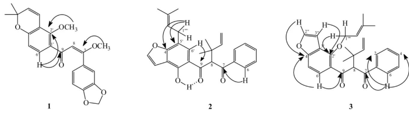 Figure 2. Key correlations of compounds 1-3, determined from the HMBC experiment.