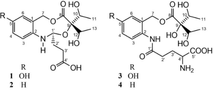 Figure 1. Alkaloids isolated from J. gendarussa.
