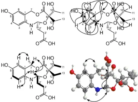 Figure 2. Structure of Brazoide A and key HMBC (H→C), NOESY (H↔H) and COSY (H—H) correlations.