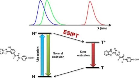 Figure 1. Four-level model for the ESIPT process for thiourea benzazole derivatives presented in this work, where X = O or S