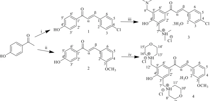 Figure 1. Synthetic route of Mannich bases (3) and (4) and their precursors, 4’-hydroxychalcones (1) and (2)