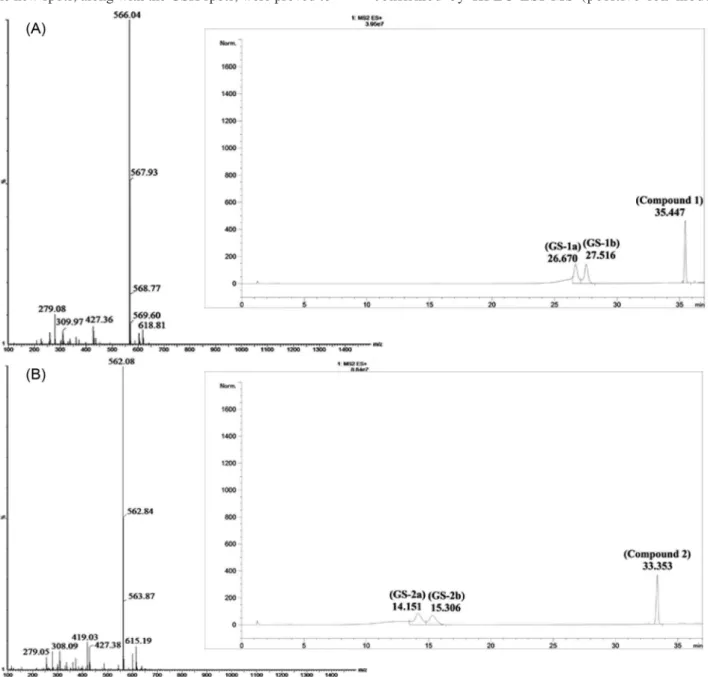Figure 5. Characterization of GS-1 and GS-2 conjugates by HPLC-ESI-MS analysis. Chromatograms of incubations of compounds 1 (A) and 2 (B) with  GSH in 0.2 mol L -1  phosphate buffer pH 7.4 at 37 °C at 180 min.