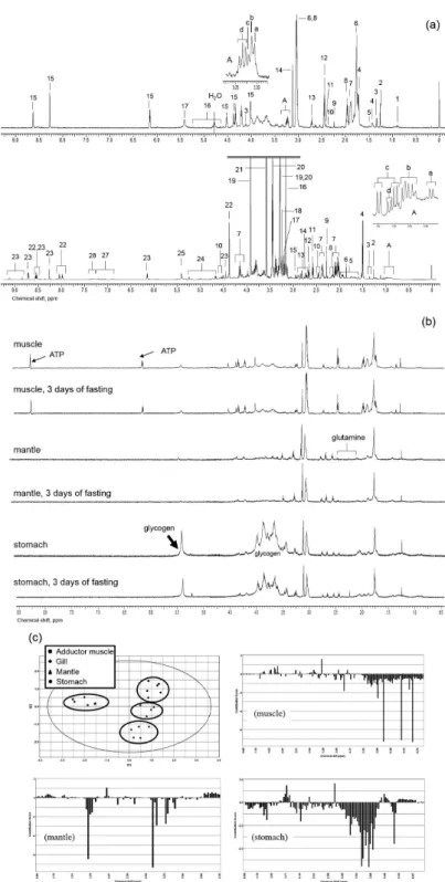 Figure 2. Proton NMR spectra from Eastern oyster and Eastern Elliptio and PCA plot of tissue blocks