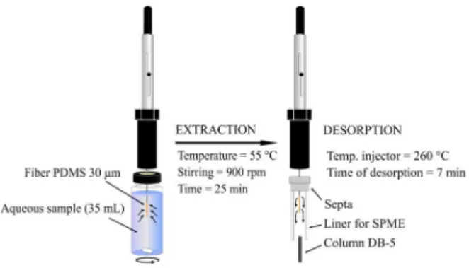 Figure 1. Scheme of process of extraction and desorption on analysis.