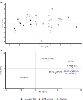 Figure 4. PCA apply to the combined data from  δ 13 C-CO 2  and  chromatography analysis: (A) scores and (B) loading.