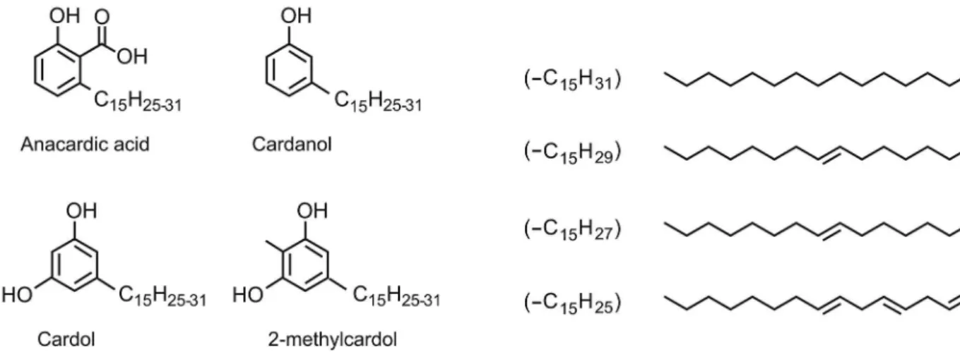 Figure 2. Structural formulas of anacardic acid, cardanol, cardol and 2-methyl cardol, present in CNSL