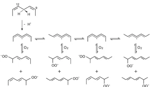 Figure 5. Scheme of the mechanism proposal of the reaction of the radical pentadienyl with molecular oxygen