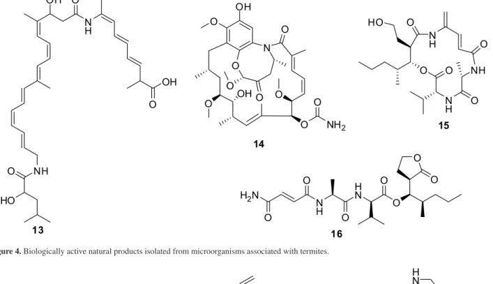 Figure 4. Biologically active natural products isolated from microorganisms associated with termites.