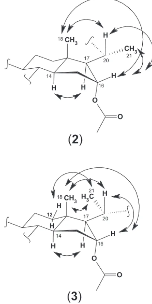 Figure 4. ROE correlations of compounds 2 and 3.