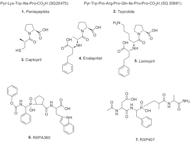 Figure 1. Compounds 1 to 9; leads to, and ACE inhibitors.