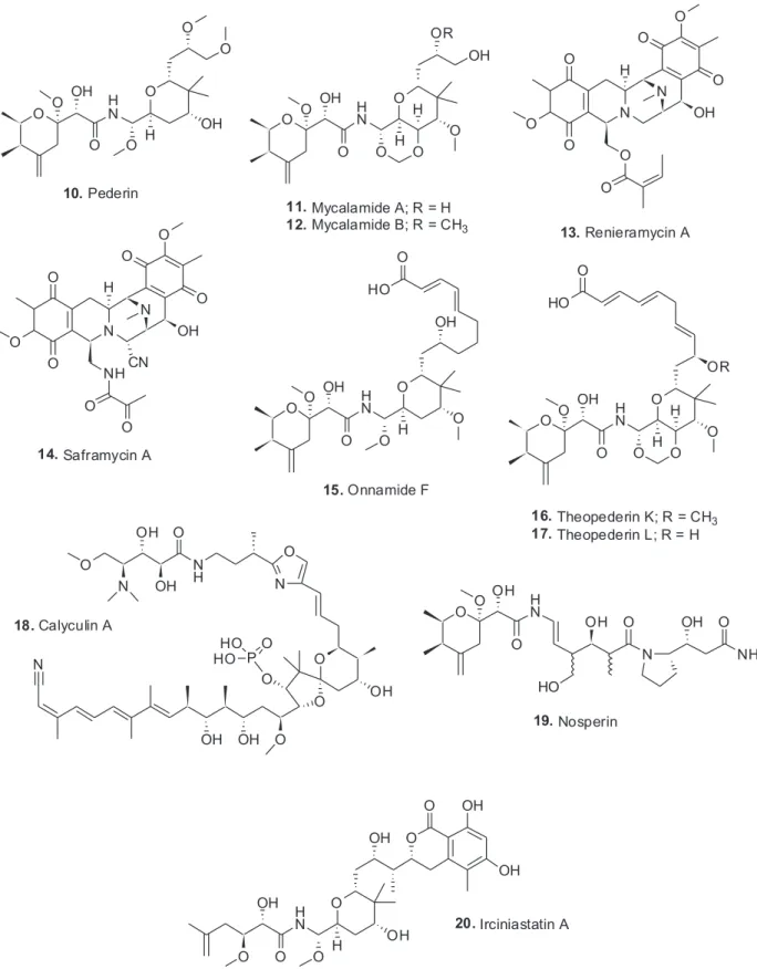 Figure 2. Compounds 10 to 20; pederin-related materials and calyculin A.