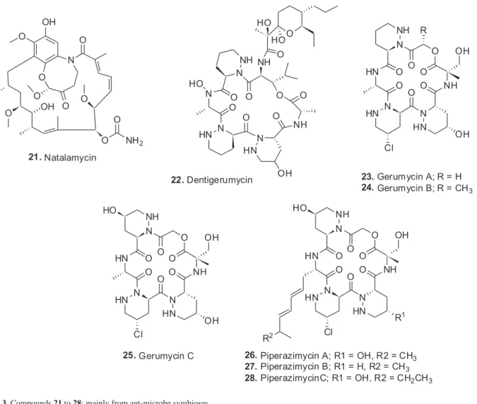 Figure 3. Compounds 21 to 28; mainly from ant-microbe symbioses. 