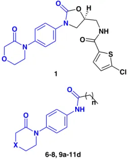 Figure 1. Rivaroxaban (1) chemical structure and synthesized lactam  derivatives (6-8, 9a-11d) (X = C, O, S; n = 4-7).