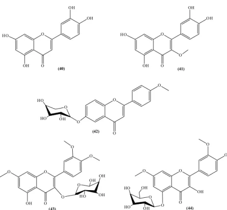 Figure 6. Chemical structures of flavonoids and flavones isolated from S. spectabilis (40-44).