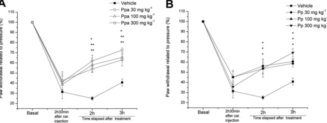Figure 5. Graphs demonstrating results of vocalization or paw withdrawal related to pressure exerted in the right hind paw in response to the hypernociception  caused by injection of carrageenan (2.5%, 0.1 mL) in rats p.o