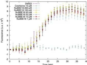 Figure 2. Fluorescence-based microtubule polymerization assays in  the presence of different concentrations of piperlongumine (from 1 to  200 µM)