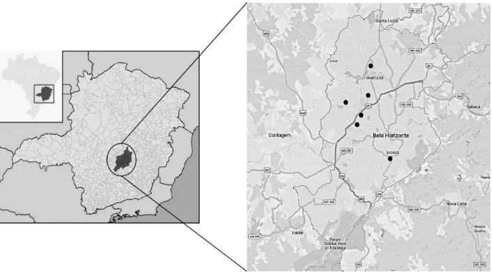 Figure 1. Map of Minas Gerais state and Belo Horizonte city, Brazil, showing the locations where the samples were collected.