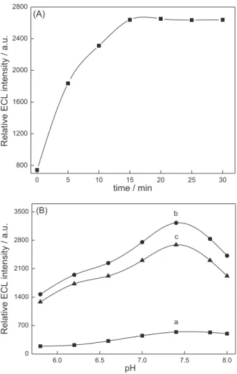 Figure 7. The effect of the (A) interaction time and (B) pH on the ECL  intensity with 0.03 µmol L -1  tiapride hydrochloride on CRuS NPs/MCNT/