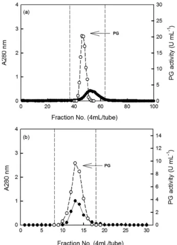 Figure 3. SDS-PAGE of standard proteins (a); crude exo-PG (b) and  purified exo-PG (c) from DEAE-Sepharose FF chromatography.