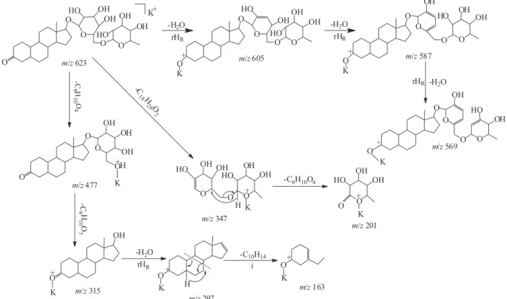 Figure 7. Proposed fragmentation pathways for compound 22.