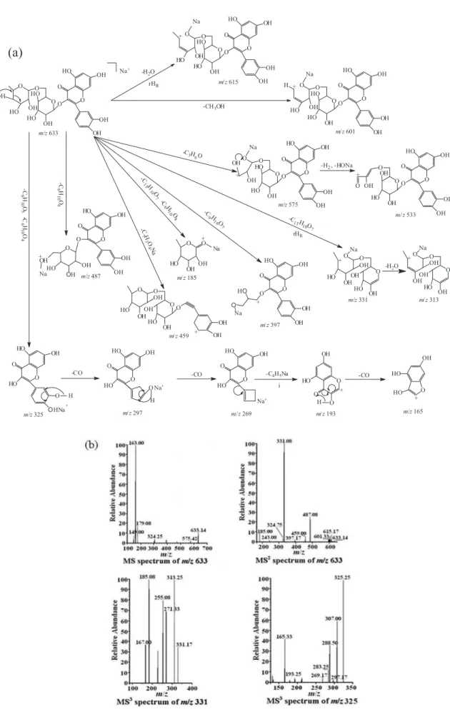 Figure 2. The fragmentation pathway of rutin (a) and its ESI-MS n  spectrum in positive ESI mode (b).