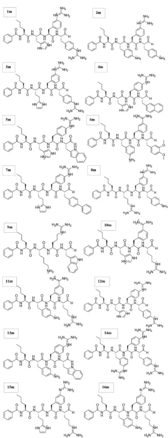Figure 1. Selected inhibitors (1m-16m) for N2SB-NS3-pro DENV-2. 11