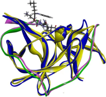 Figure 3. The overlap between 2FP7 (WNV) and DENV-2 model  structures complexed with the Bz-Nle-Lys-Arg-Arg-H inhibitor (ribbon  representation)